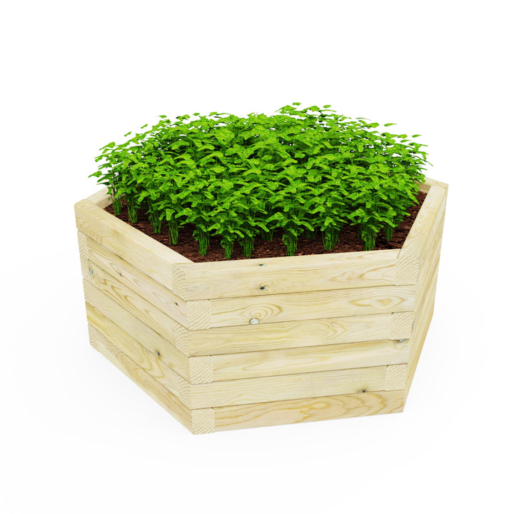 OG Hexagonal Garden Planters