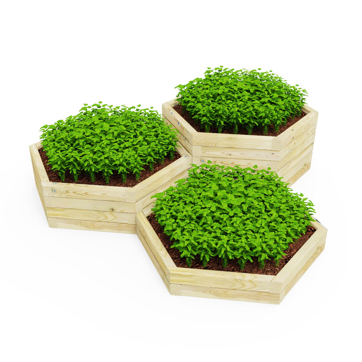 OG Hexagonal Garden Planters